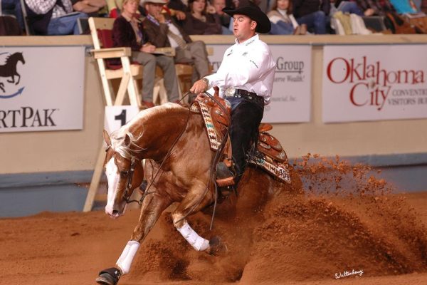 436_NR08p1F.2_-_140_fappani