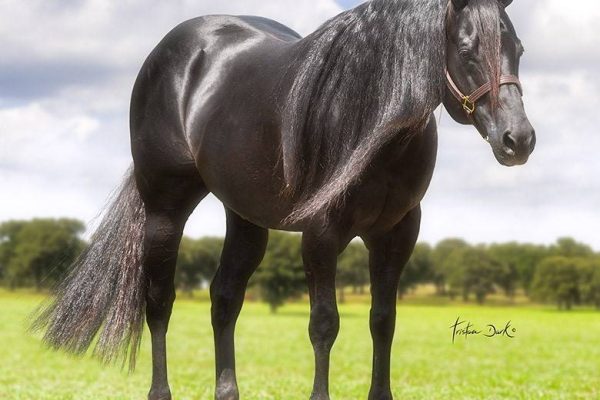 67833896_10156903999747690_7895782299743027200_n